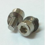 Screw and Washer Set for battery disc
